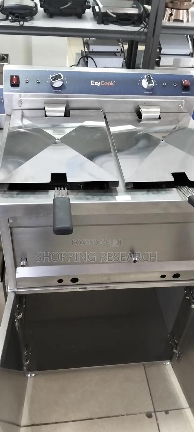 Stainless Steel Electric Fryer Double Imported