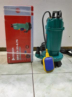 Premier Submersible Water Pump 1 Hp 32m Head 1 Inches