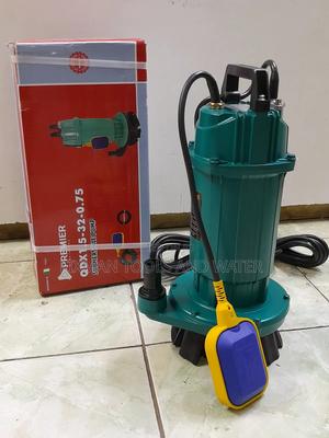 Domestic Well Water Pump Premier 1 Hp 32m Deep
