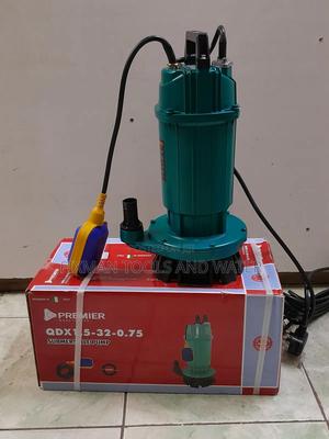 Deep Well Premier Submersible Water Pump 1 Hp 32m Deep - main view