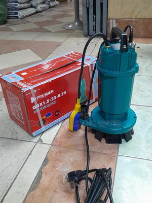 Commercial Premier Water Pump 1 Hp 32m Deep #Water Pump - main view