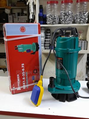 Shallow Well Premier Water Pump 1hp With Float Switch 32m H - main view