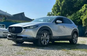 Mazda CX-30 2020 Silver
