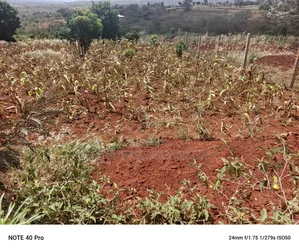 2 Acres Land Behind A&L Hotel, Machakos