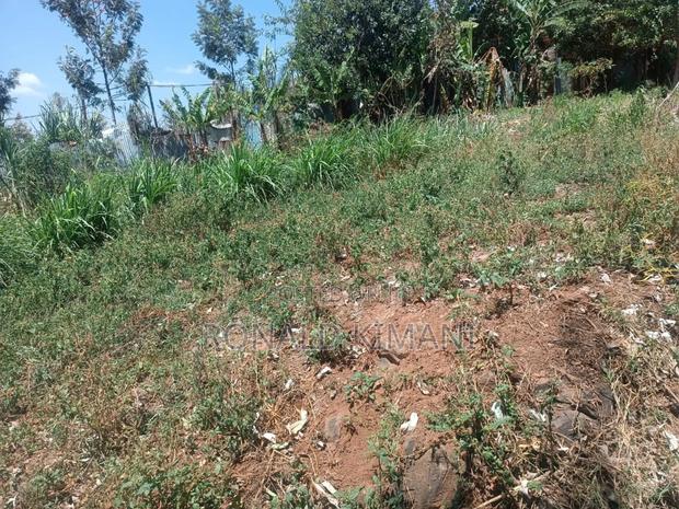 Prime 50 × 100 Plot for Sale – Ruaraka (Kenya Breweries Area) - thumbnail 6