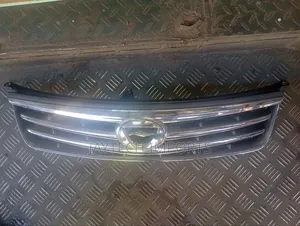 Axio 2010 Grill