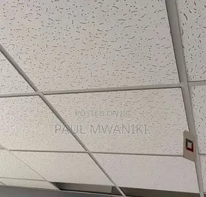 Acoustic Ceiling- 600mm *600mm