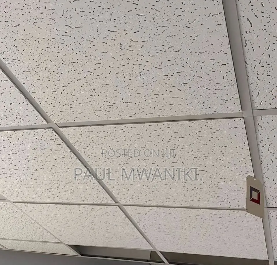 Acoustic Ceiling- 600mm *600mm