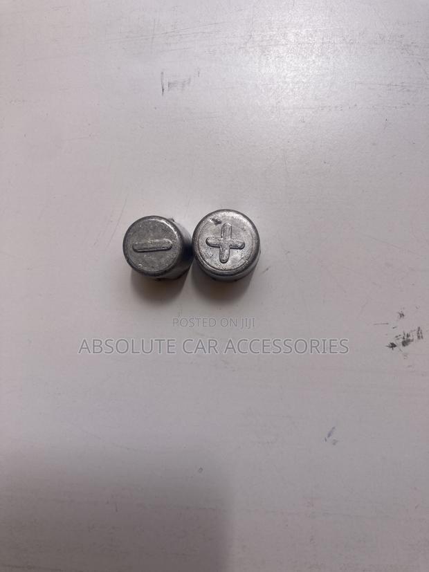 Battery Terminal Adaptors (Pair)