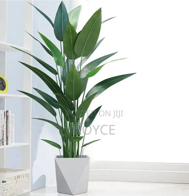 Real Touch Artificial Strelitizia Plant - thumbnail 2