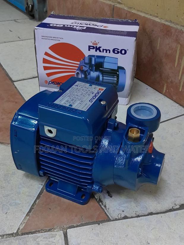 Pedrollo Water Pump 0.5 Hp 38m Head - main view