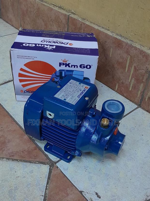 New Pedrollo Water Pump 0.5 Hp 40m Head - main view