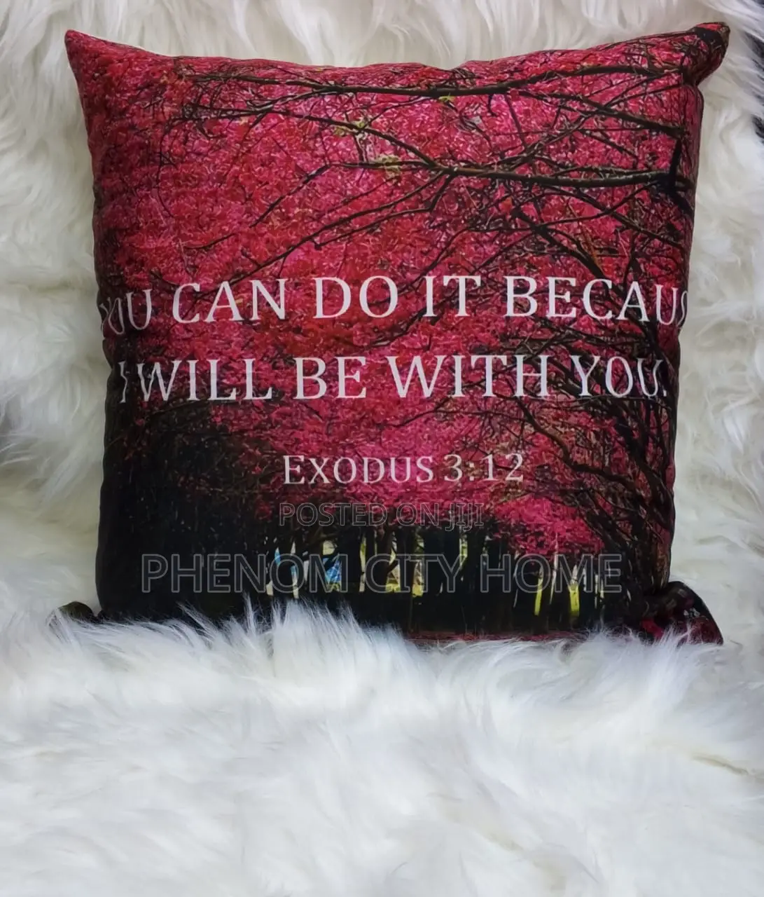 Motivational Printed Throwpillow Covers