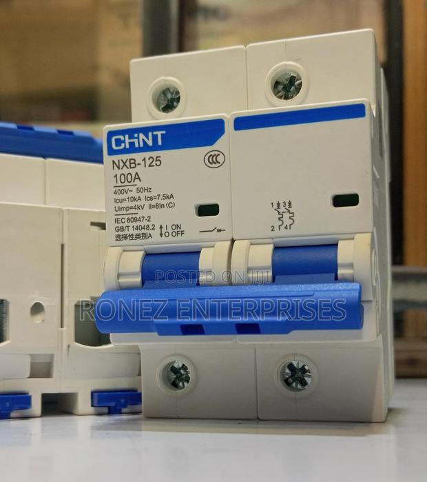 Double Pole Chint 100 Amps - thumbnail 2