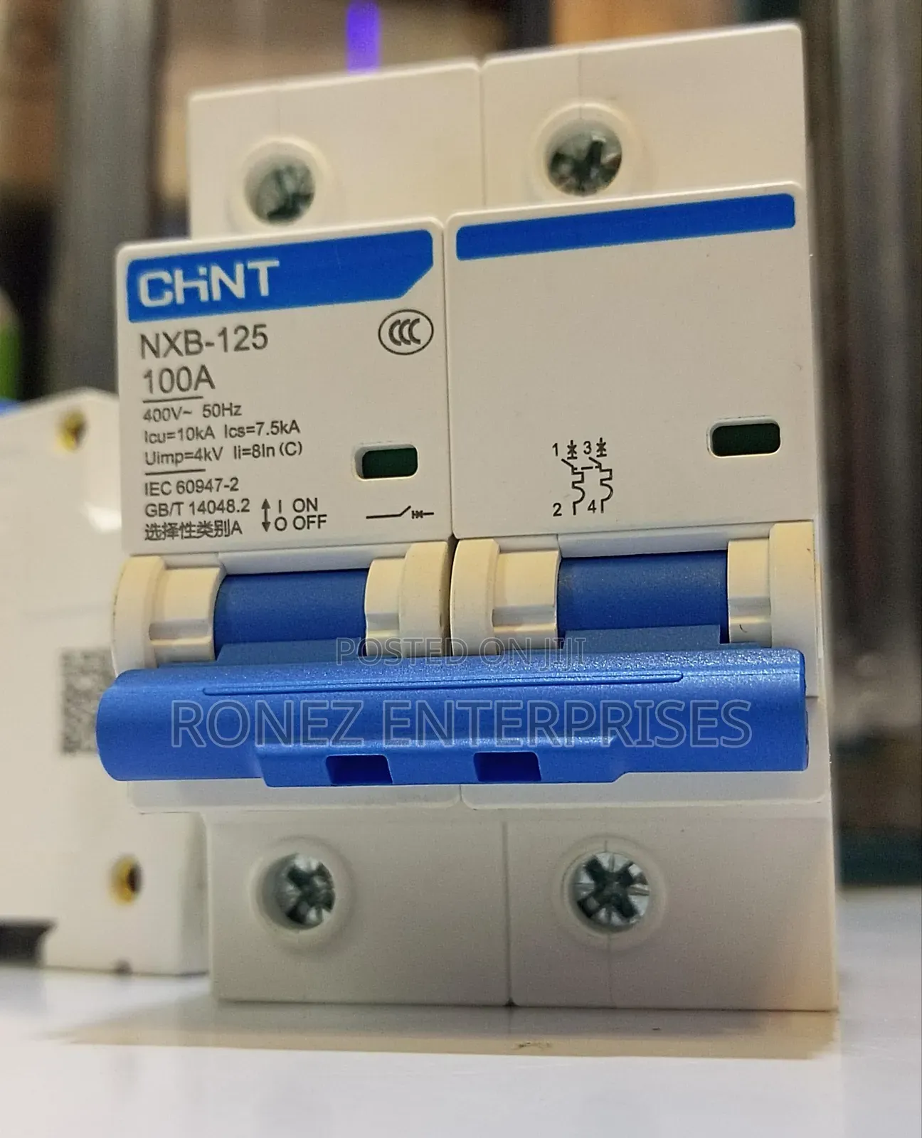Double Pole Chint 100 Amps