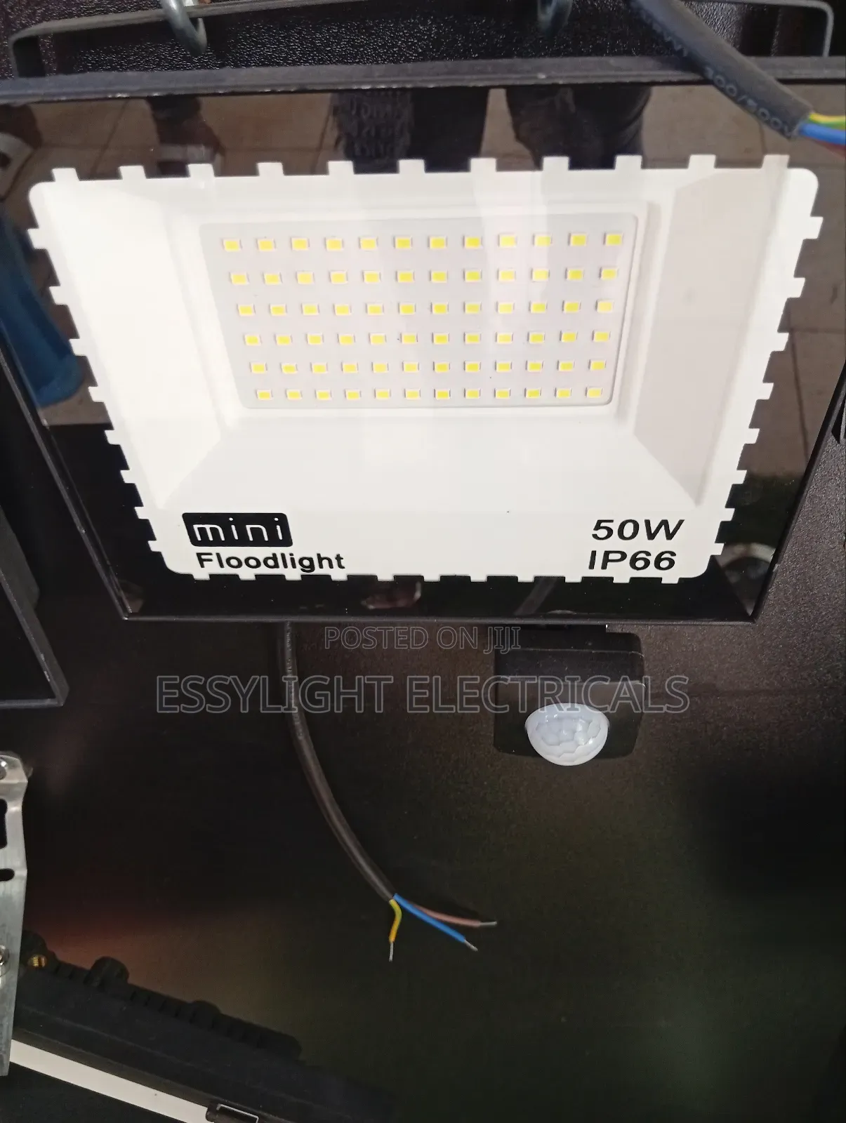 Motion Sensor Floodlight