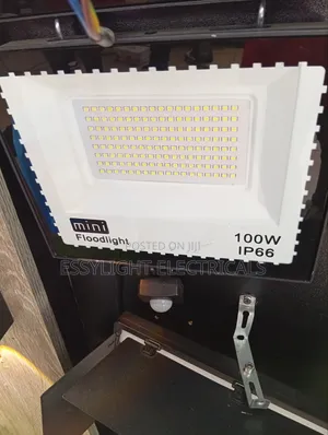 Motion Sensor Floodlight