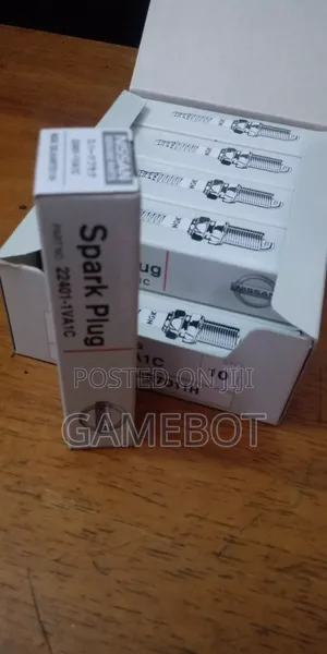 Iridium Spark Plugs