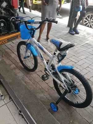 Recommend Best Quality Kids Bicycle Size 20