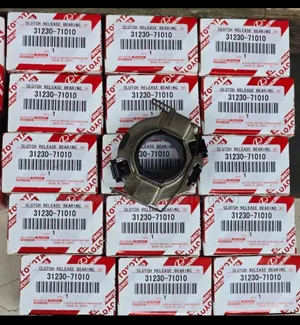 Release Bearing Vigo