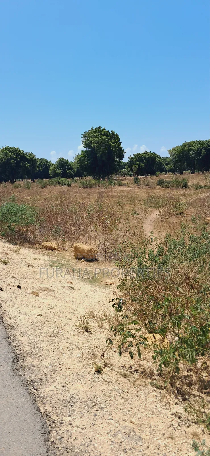 For Sale 15 Acres Prime Land Vipingo