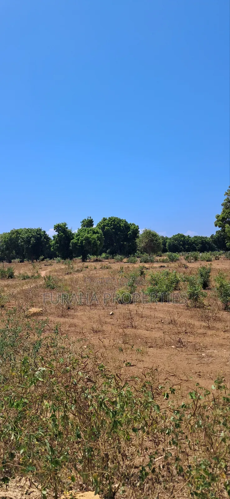 For Sale 15 Acres Prime Land Vipingo