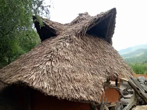 Experts in Makuti Roofing