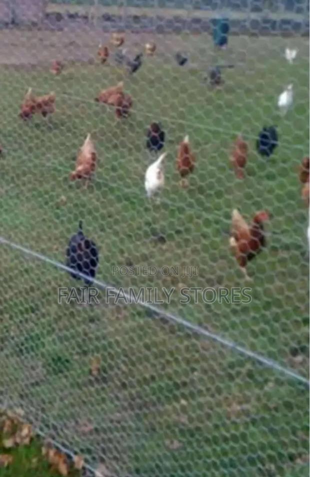 Chicken Wire Mesh
