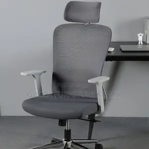 Office Chairs: Ergonomic Office Lumbar Support Mesh Chair