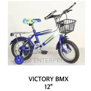 Victory BMX Size 12 Heavy Gauge Kid's Bike (Age2-5yrs)