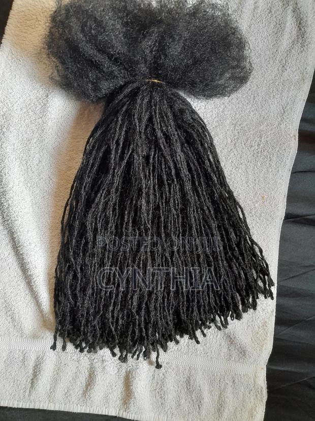 Artificial Sister Locs