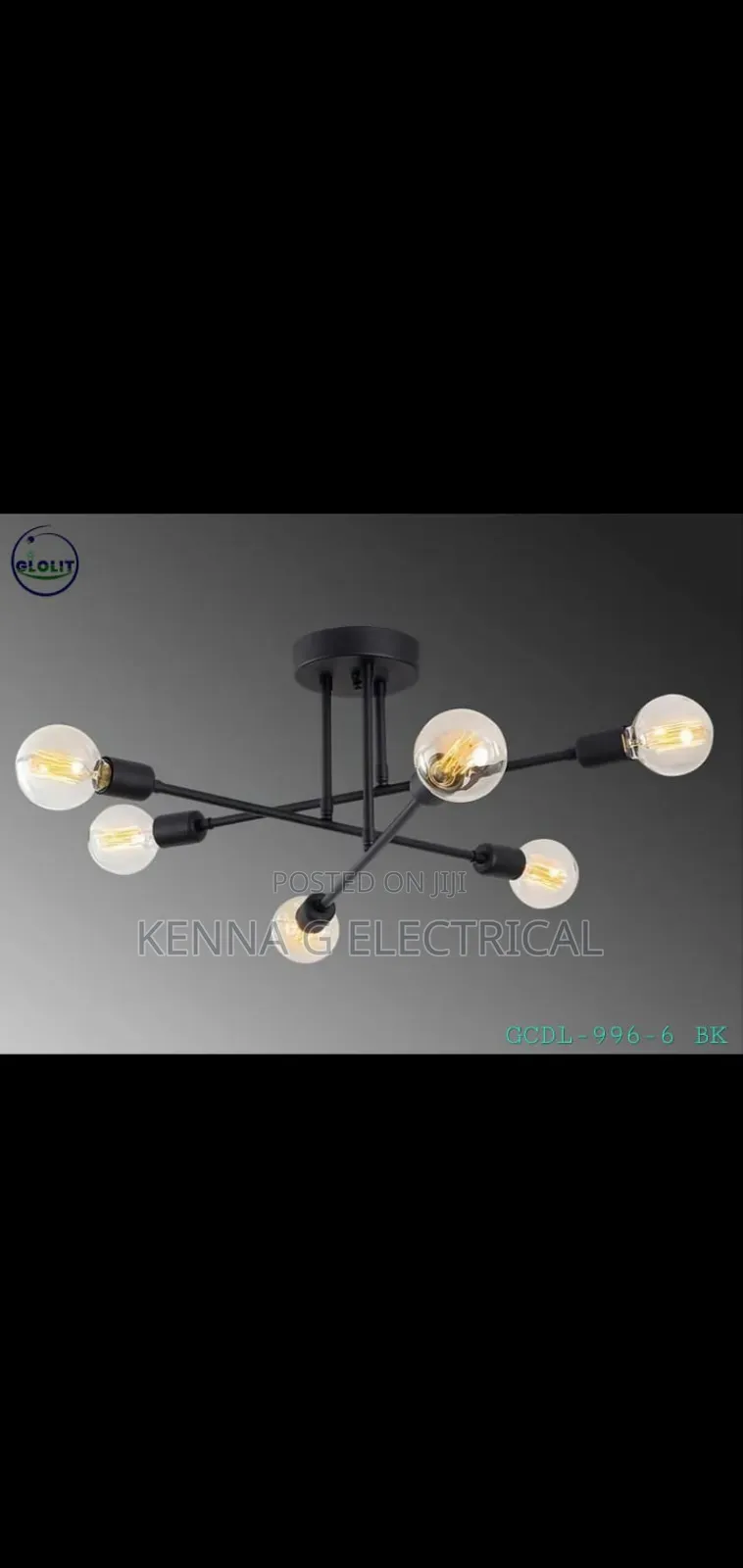 Glass Globe Ceiling Suspended Chandelier and Pendant Lamps