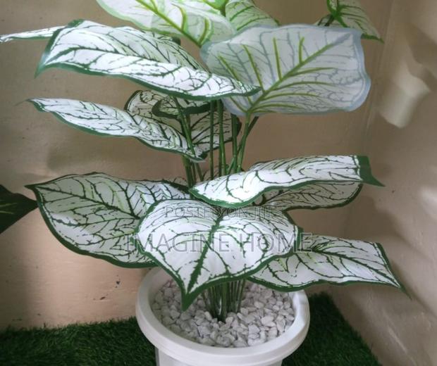 Artificial Plants White/Green