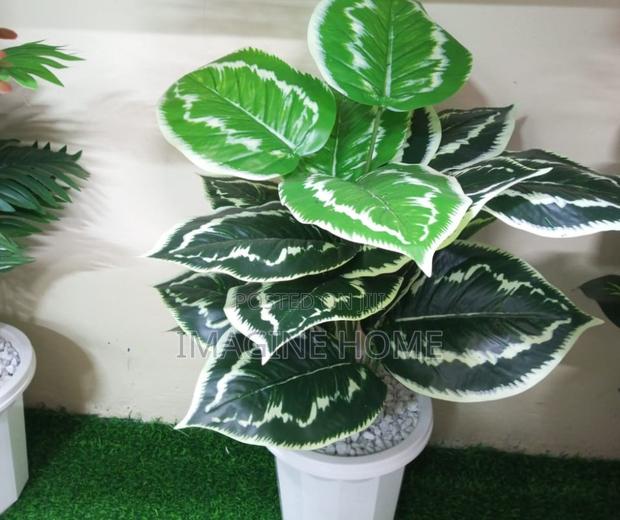 Small Size Artificial Plants - main view