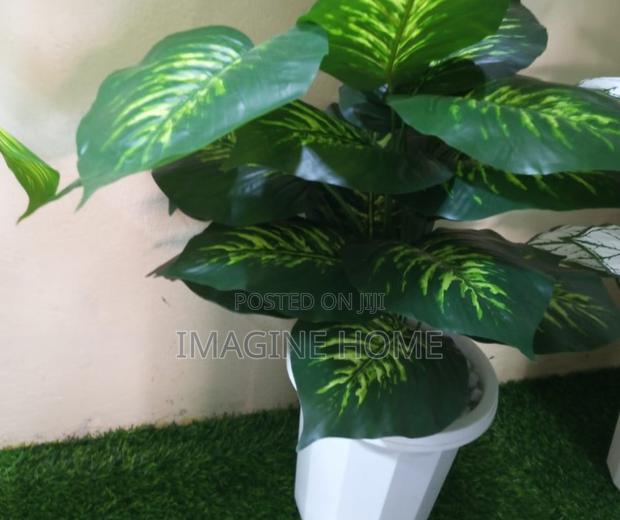 Complete Artificial Plants