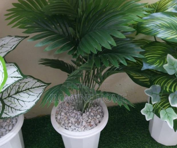 Artificial Plants Decor