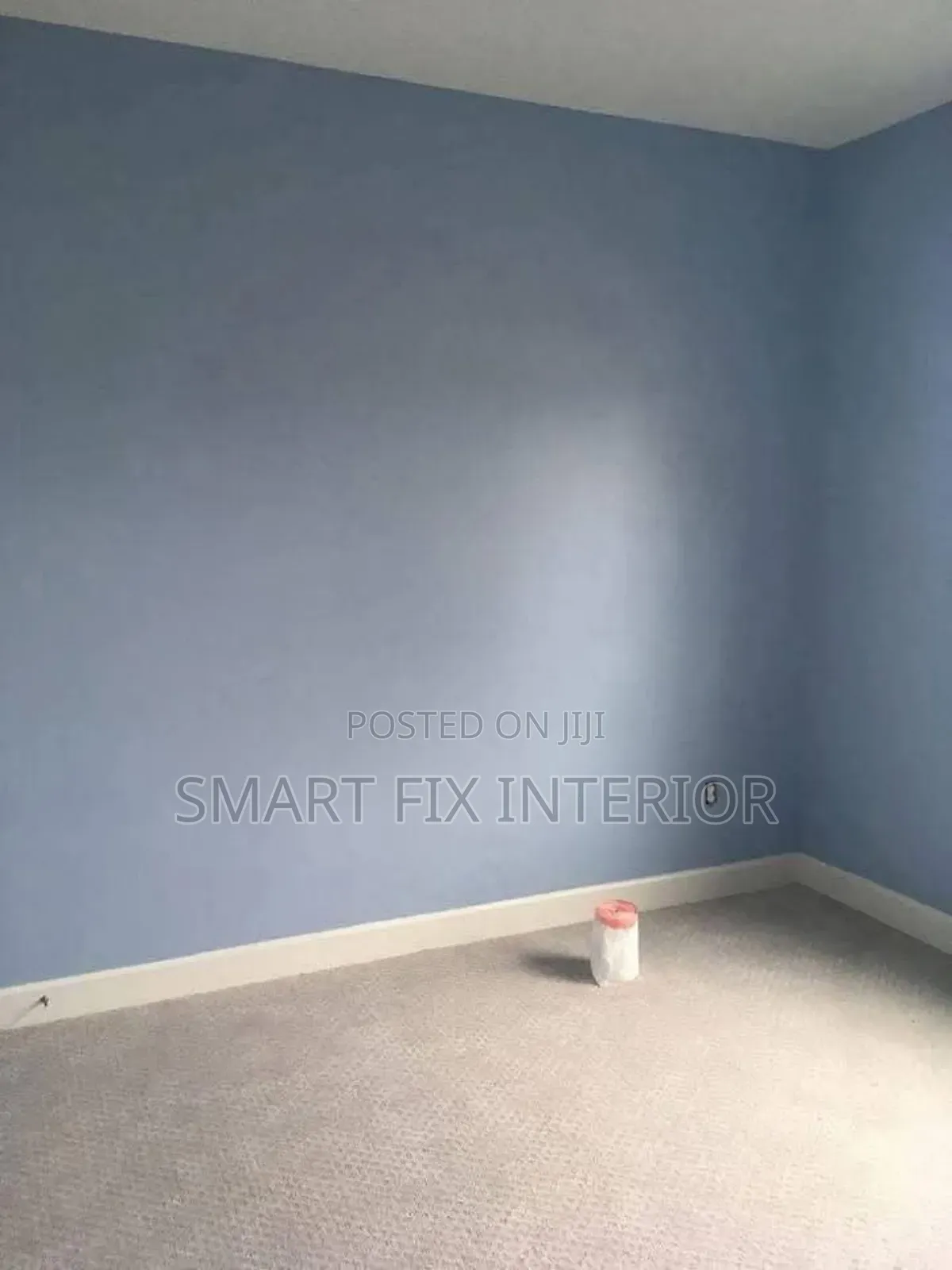 Wall Painting/Vanish/Wainscotings/Home Décor and Renovation