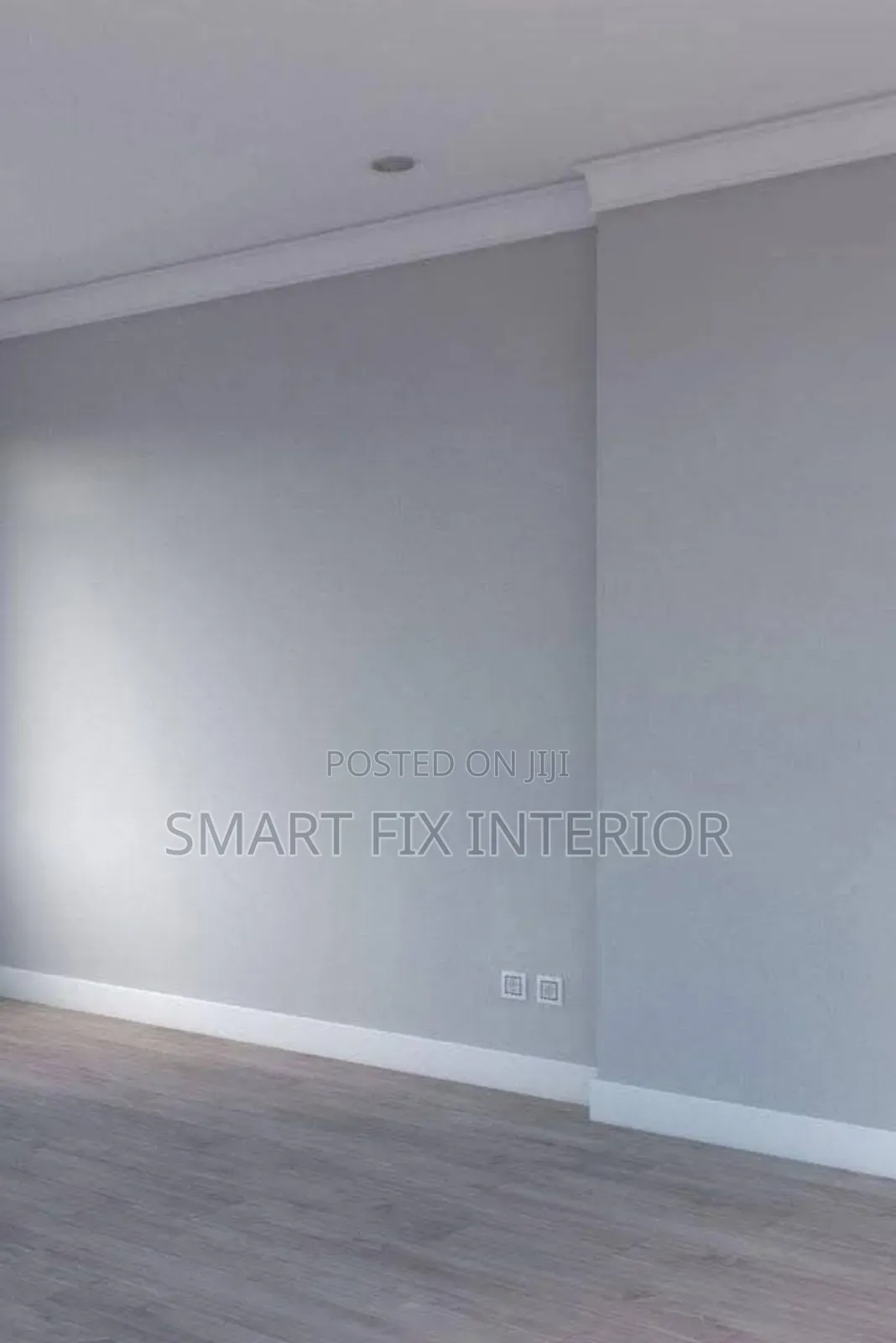 Wall Painting/Vanish/Wainscotings/Home Décor and Renovation