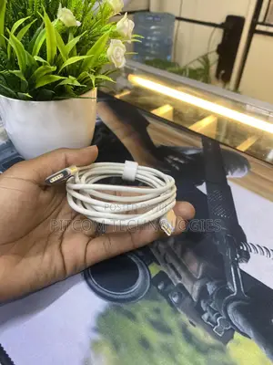 Type-C to Magsafe 2 Cable