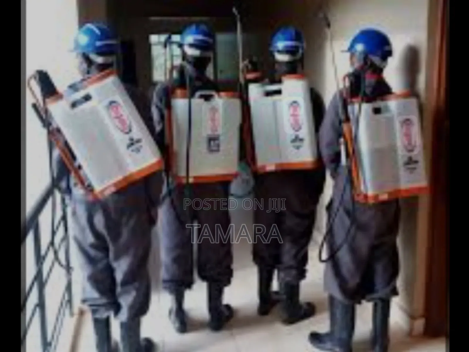 Professional Fumigation Services