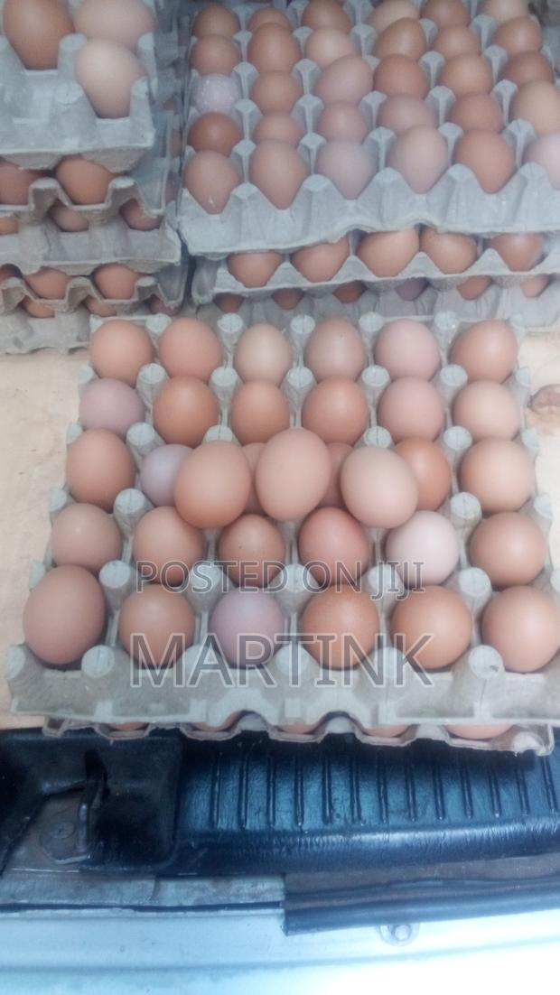Farm Fresh Eggs Yellow Yolk Large - thumbnail 4