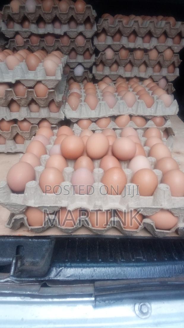 Farm Fresh Eggs Yellow Yolk Large - thumbnail 5