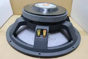 JBL 15 Inch Naked Speaker