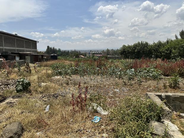 0.7 Acre Plot for Sale in Nakuru Eveready - thumbnail 3