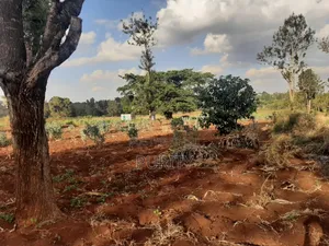 Prime Blocks of Land for Sale Kerarapon