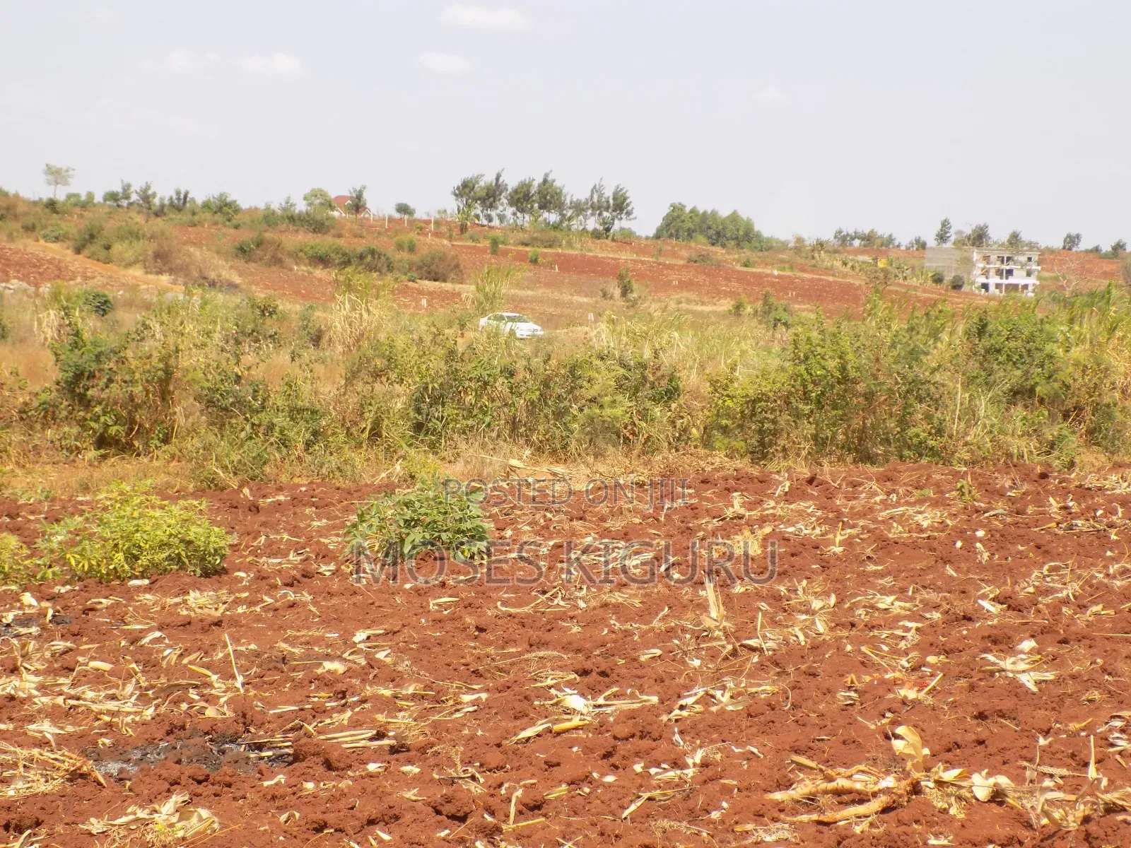 Kangema Farms 50x100 Plots.