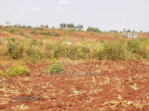 Kangema Farms 50x100 Plots.