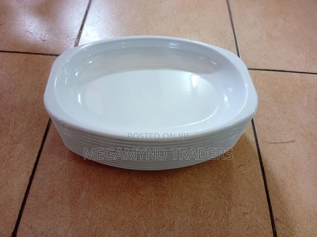 Melamine Plates/Hotel Size Melamine Plates - main view