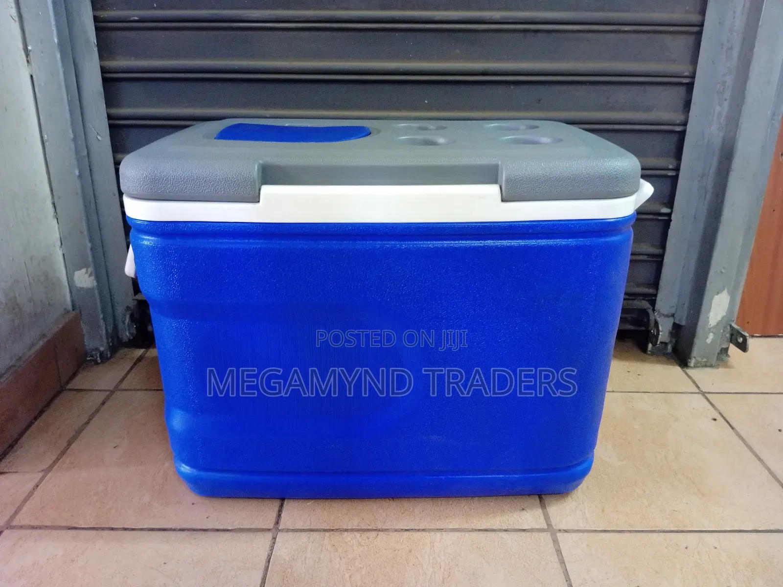 61-Litre Cooler Box/Camping Cooler Box