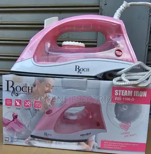 Steam Iron Box Roch